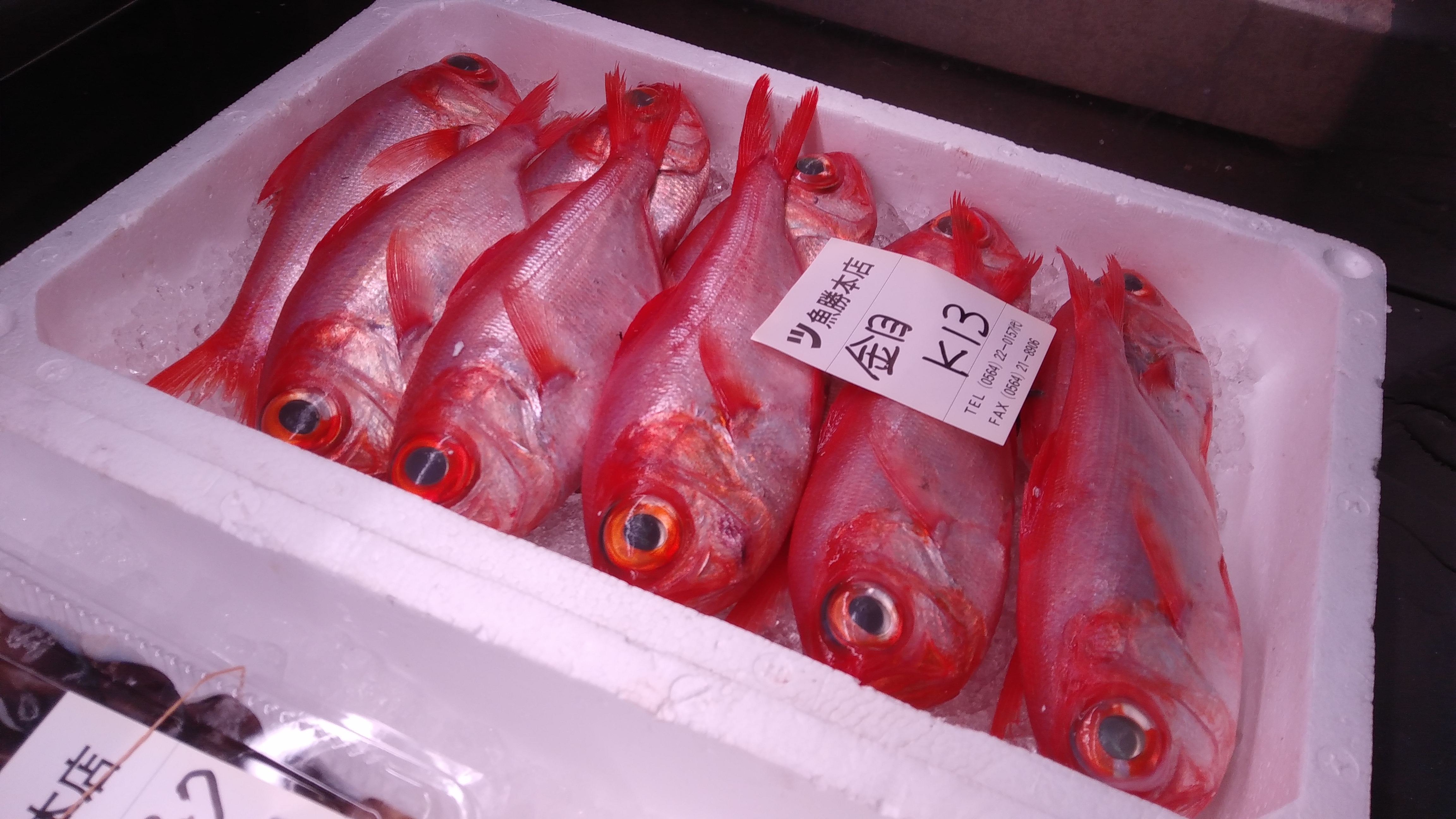 一人付の地の金目鯛 目が輝いてます 岡崎市高級魚専門店 魚勝本店